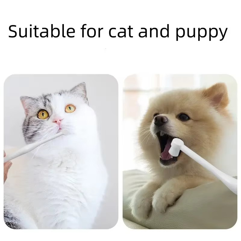 Round Head Pet Toothbrush Remo - Teeth Whitening Mouthwash 评论和价格