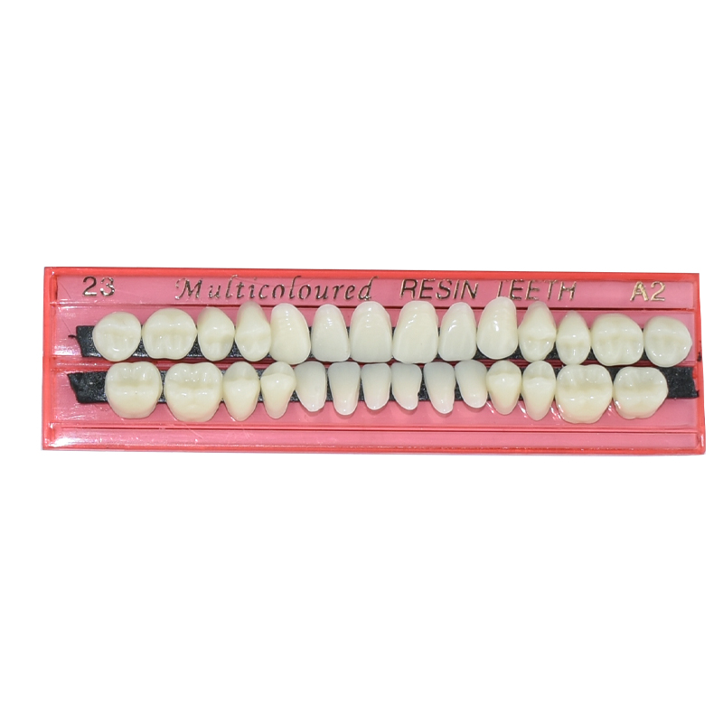 28 Teeth Dental Resin Denture  - Teeth Whitening Kit 评论和价格